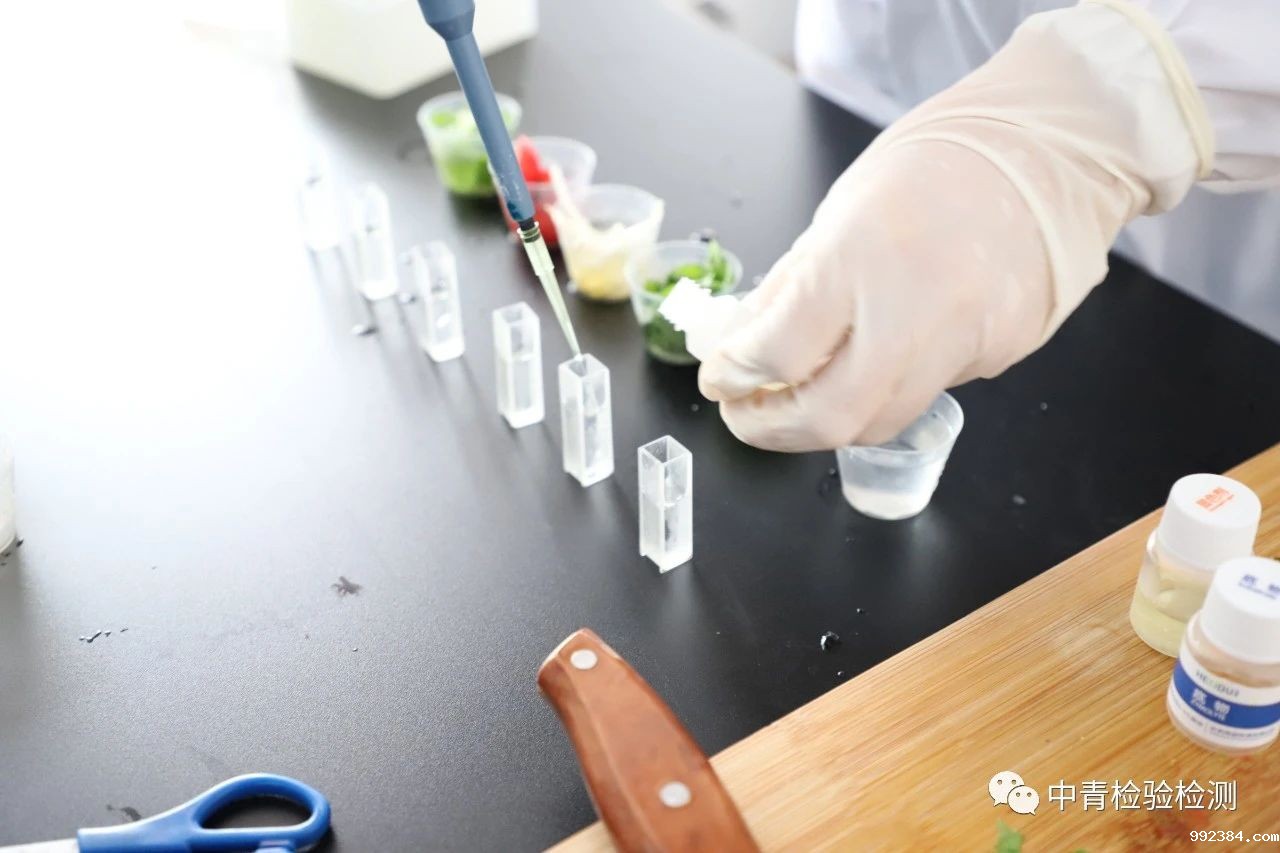 1594797849552646.jpg 微信图片_20200715152245.jpg