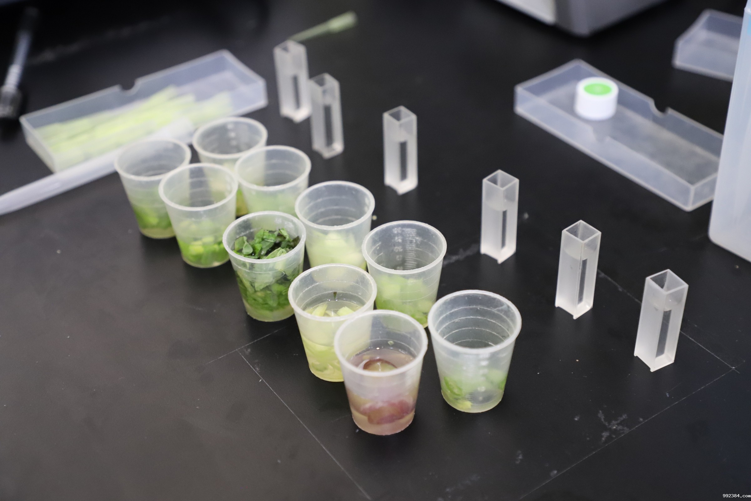 1619770768157582.jpg IMG_4184.JPG