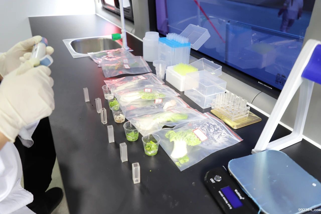 1622686236960145.jpg 5.jpg