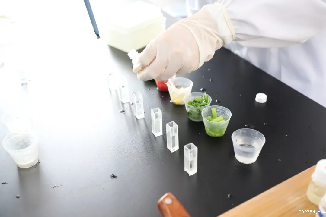 1619769629111904.jpg 7.webp.jpg